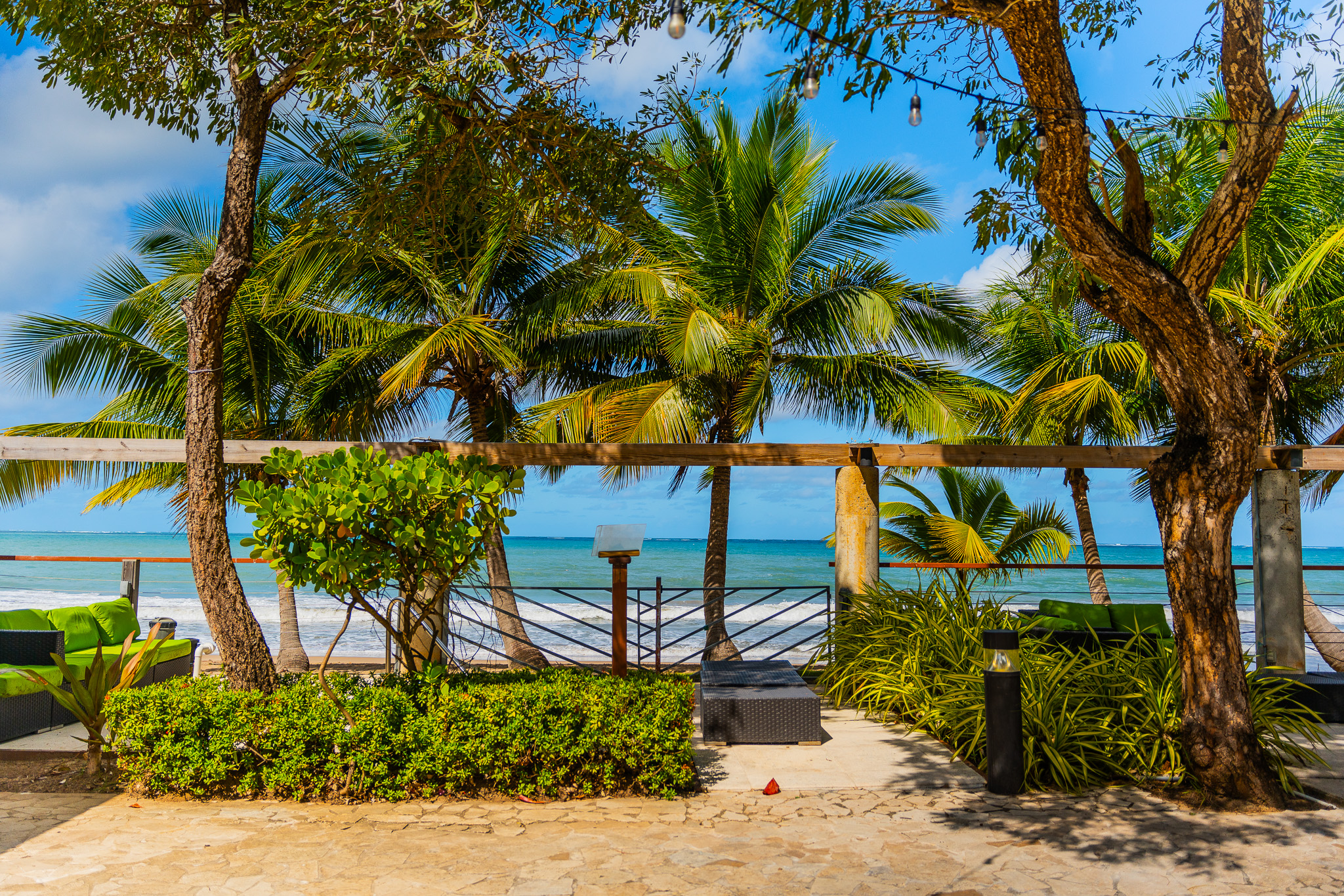 Ocean-view garden terrace at Vivo Beach Club with palms, seating, and beach views