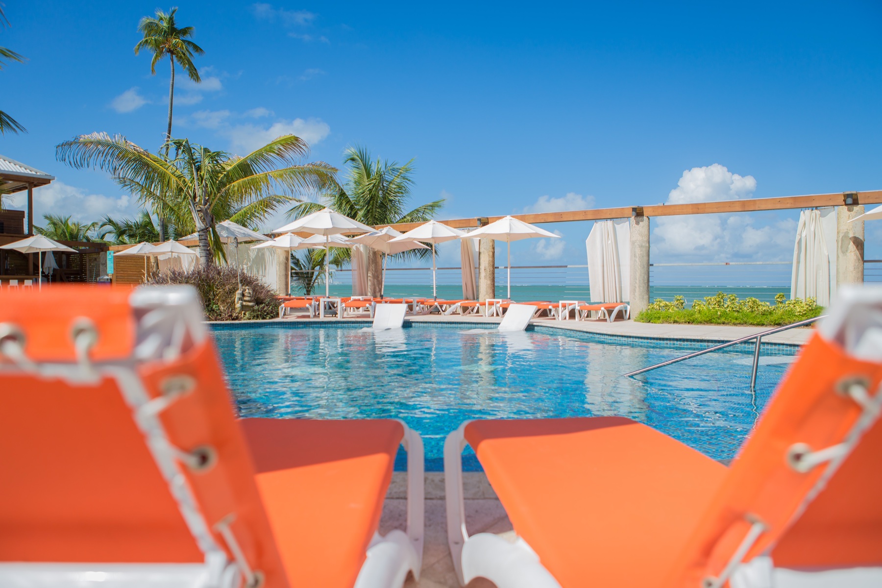 Vivo Beach Club pool with orange lounge chairs, palms, and ocean views